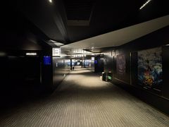 -奥斯卡升龙国际影城(RealD Cinema)