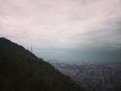 -兰山公园