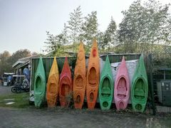 -上海海湾国家森林公园