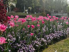 -上海交通大学(闵行校区)