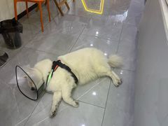 -中国体育彩票(竞彩店)