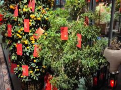 -小河盐帮·私家菜·烤鸭(三元桥·霄云路店)