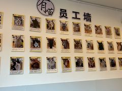 -有喵·猫咖·狗咖·30几只猫10只小狗(岗厦店)