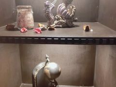 -雪灵魔法世界SHELLY’S TAROT(大良桂畔里店)