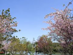 -南通濠河风景名胜区