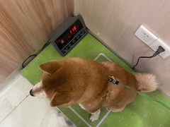 -瑞鹏宠物医院·宠保定点·心脏科·内科(御桥分院)