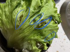 -火鳳祥美蛙牛肉自助(青悦城店)