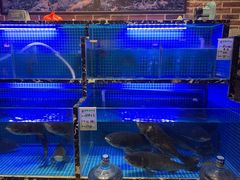 水产区-姜君·千岛湖鱼头馆(浦东大道店)