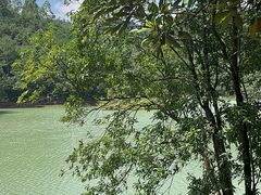 -广州白江湖森林公园