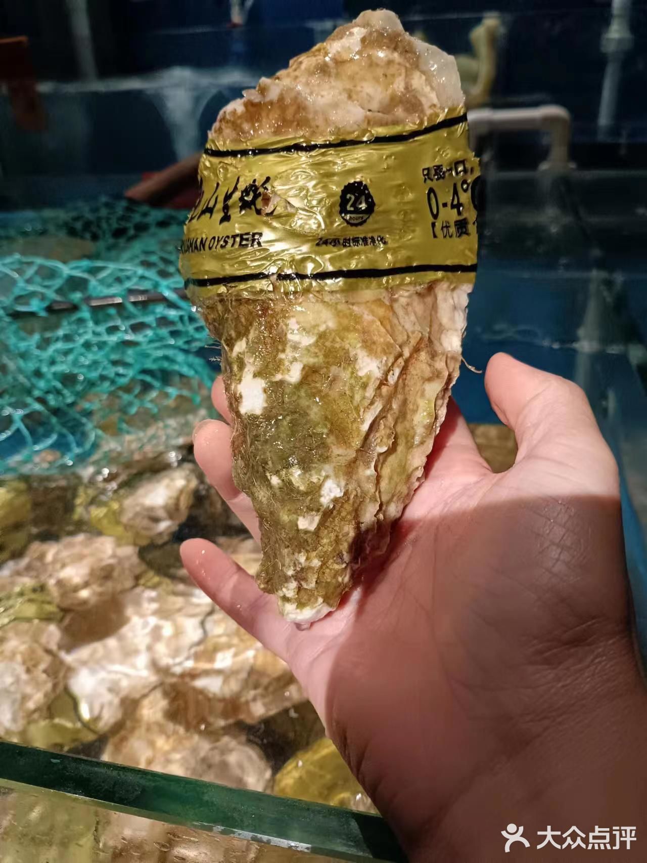 不一样的川味海鲜大排档，就在西丽
