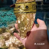 不一样的川味海鲜大排档，就在西丽