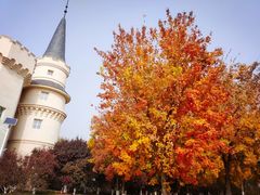 -北京张裕爱斐堡酒庄