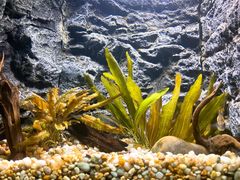 -上海海洋水族馆