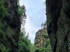 -茅兰沟国家森林公园