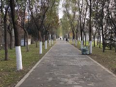 -咸阳湖景区-古渡公园