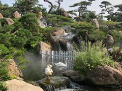 -罗红摄影艺术馆