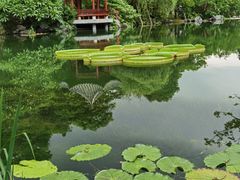 -云溪植物园