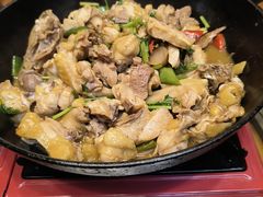 -食德喜·阳山鸡王食研基地