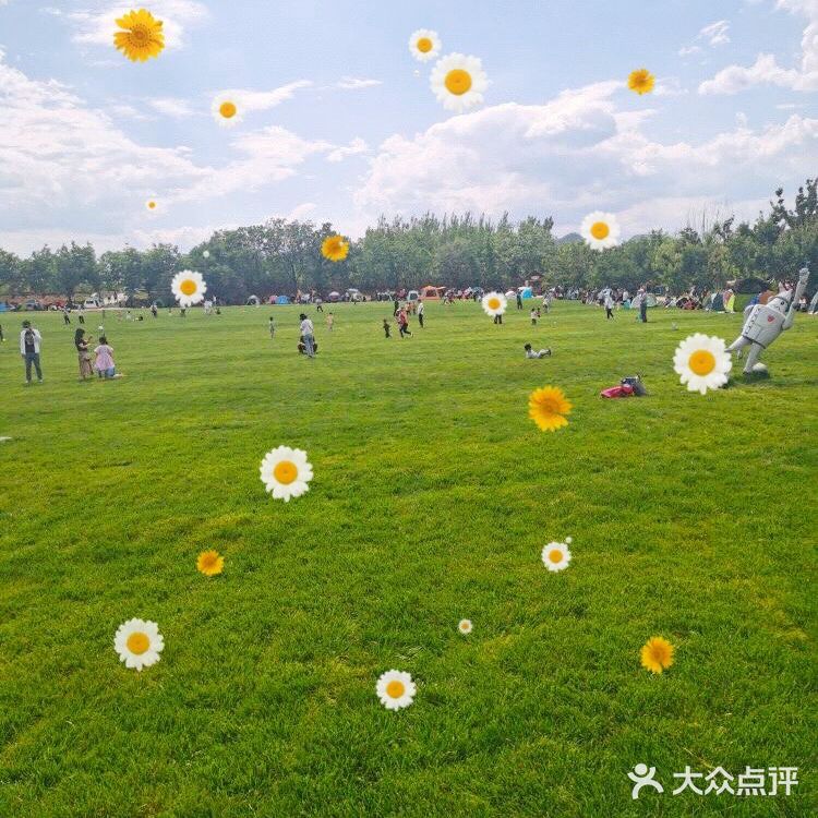 北京六一遛娃必打卡的超值亲子乐园