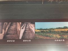 -鸿山遗址博物馆