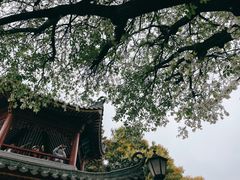 -中山公园