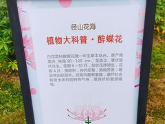 -径山花海