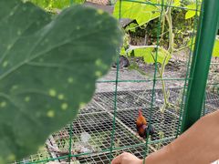 -洪湖家庭农场·团建·露营·会议
