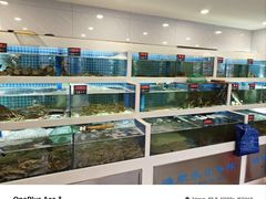 -渔家乐小海鲜(皇姑店)