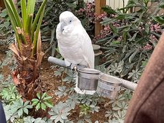 -南宫五洲植物乐园