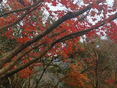 -西湖风景区十里琅珰-五云山