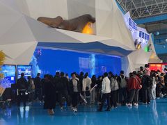 -泉城欧乐堡海洋极地世界