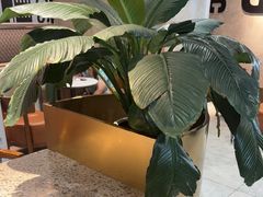 -德克士(长安百货店)