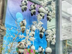 -熊猫屋(宽窄巷子景区店)