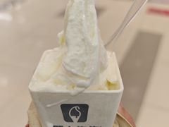 -野人先生Gelato(上海长宁龙之梦店)