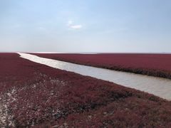 -红海滩国家风景廊道