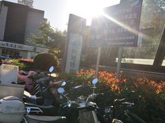 -闸弄口(地铁站)