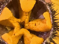 -海胆小馆(东北水饺·春柳店)