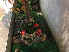-丽池宫韩式汗蒸会馆(华灯坊店)