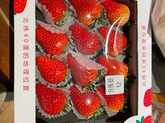 -果松木炭酸菜铜火锅·外婆参鸡汤