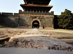 -北陵公园