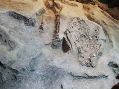 -侵华日军南京大屠杀遇难同胞纪念馆