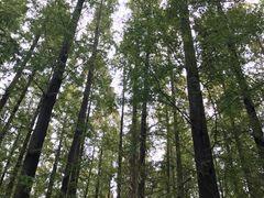 -上海怡沁园度假酒店