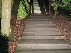 -缙云山景区