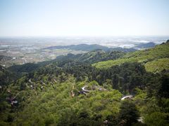 -大芦花风景区