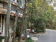 -西湖风景区十里琅珰-五云山