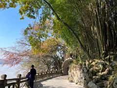 -江心屿景区