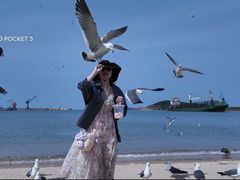 -海驴岛(荣成市)