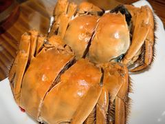 -呼吸森林·生态农庄农家乐私房菜