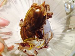 -星伦多 自助料理(圆融店)