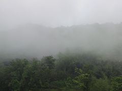 -龙窝子
